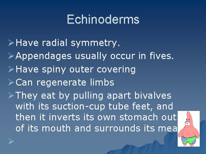 Echinoderms Ø Have radial symmetry. Ø Appendages usually occur in fives. Ø Have spiny