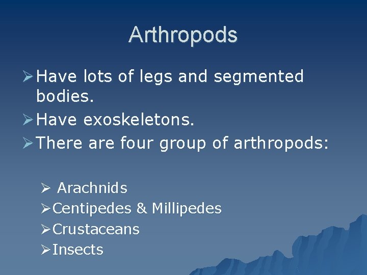 Arthropods Ø Have lots of legs and segmented bodies. Ø Have exoskeletons. Ø There