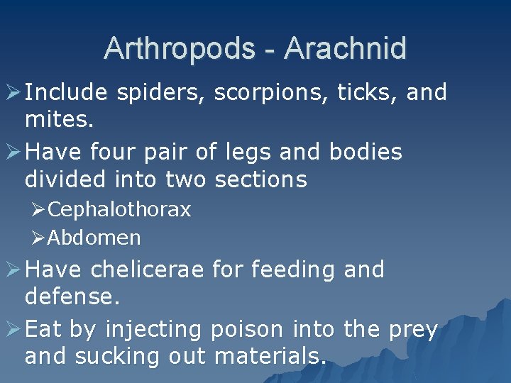 Arthropods - Arachnid Ø Include spiders, scorpions, ticks, and mites. Ø Have four pair