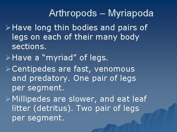 Arthropods – Myriapoda Ø Have long thin bodies and pairs of legs on each