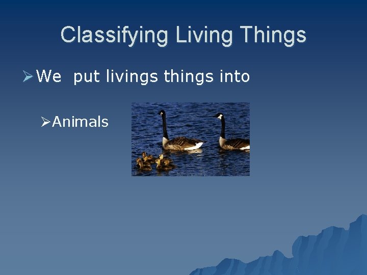 Classifying Living Things Ø We put livings things into ØAnimals 