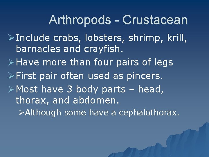 Arthropods - Crustacean Ø Include crabs, lobsters, shrimp, krill, barnacles and crayfish. Ø Have