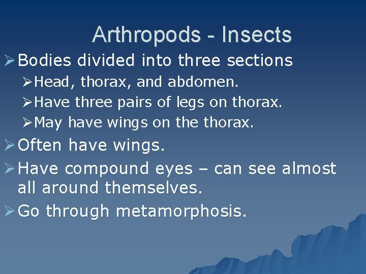 Arthropods - Insects Ø Bodies divided into three sections ØHead, thorax, and abdomen. ØHave