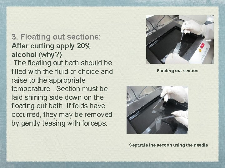 3. Floating out sections: After cutting apply 20% alcohol (why? ) The floating out 3. Floating out sections: After cutting apply 20% alcohol (why? ) The floating out