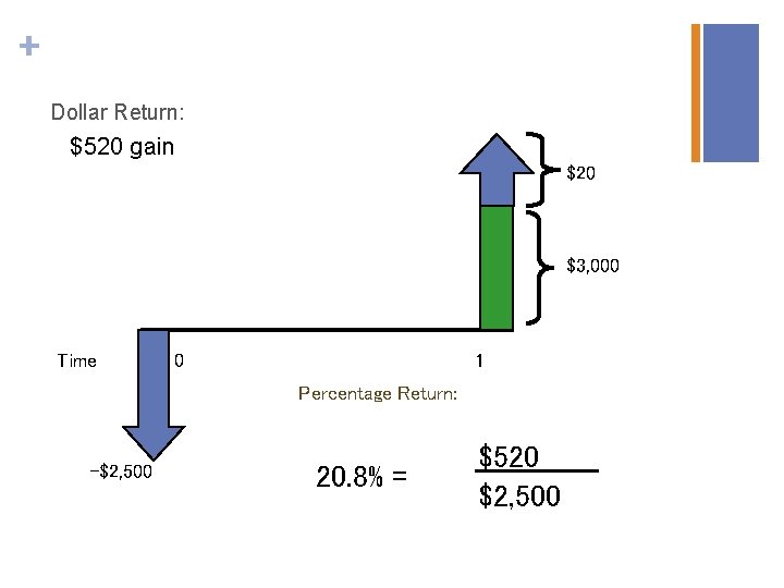 + Dollar Return: $520 gain $20 $3, 000 Time 0 1 Percentage Return: -$2,