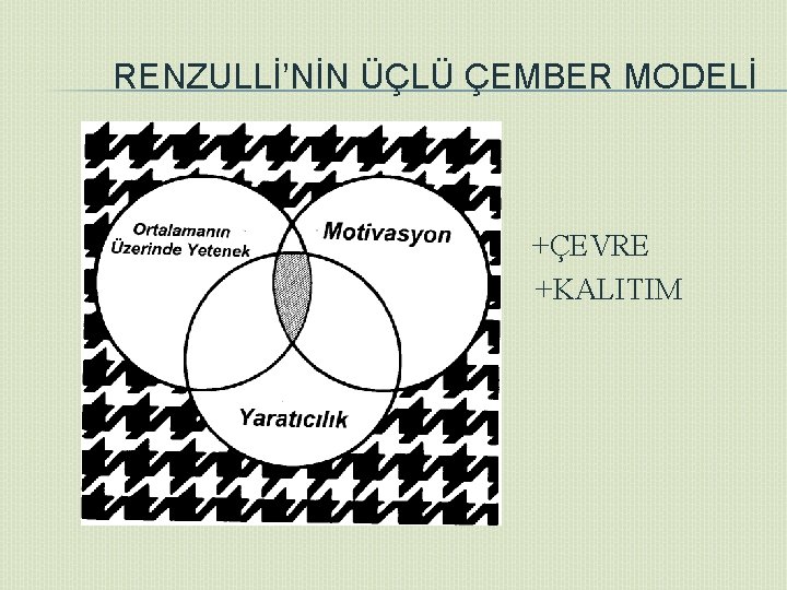 RENZULLİ’NİN ÜÇLÜ ÇEMBER MODELİ � +ÇEVRE +KALITIM 