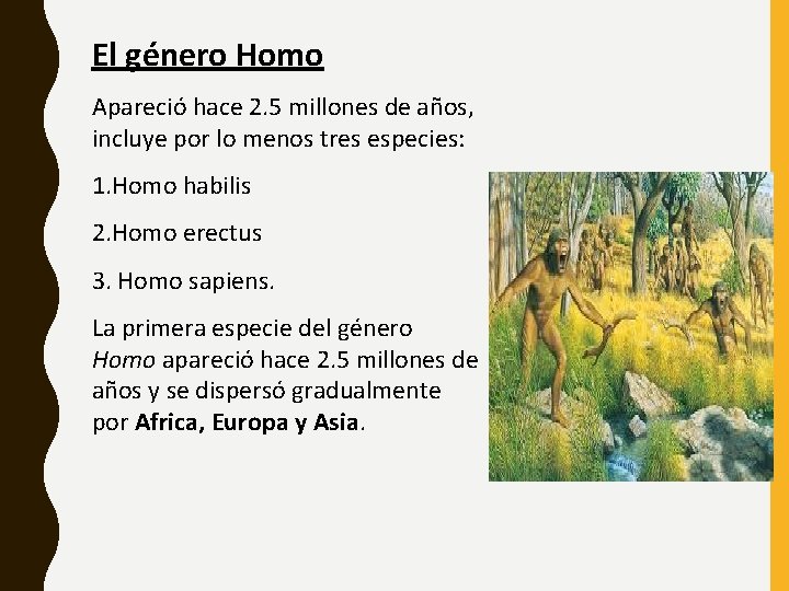El género Homo Apareció hace 2. 5 millones de años, incluye por lo menos