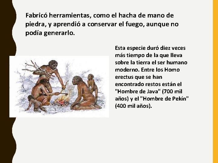 Fabricó herramientas, como el hacha de mano de piedra, y aprendió a conservar el