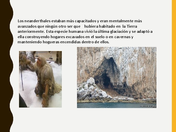 Los neanderthales estaban más capacitados y eran mentalmente más avanzados que ningún otro ser