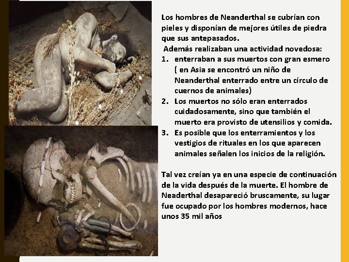 Los hombres de Neanderthal se cubrían con pieles y disponían de mejores útiles de