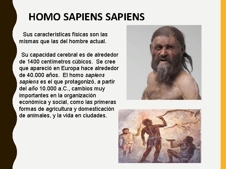 HOMO SAPIENS Sus características físicas son las mismas que las del hombre actual. Su