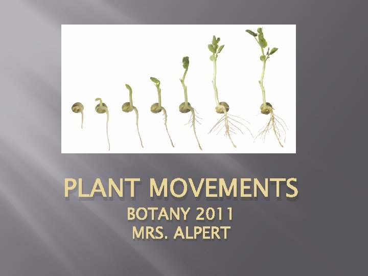 PLANT MOVEMENTS BOTANY 2011 MRS. ALPERT 