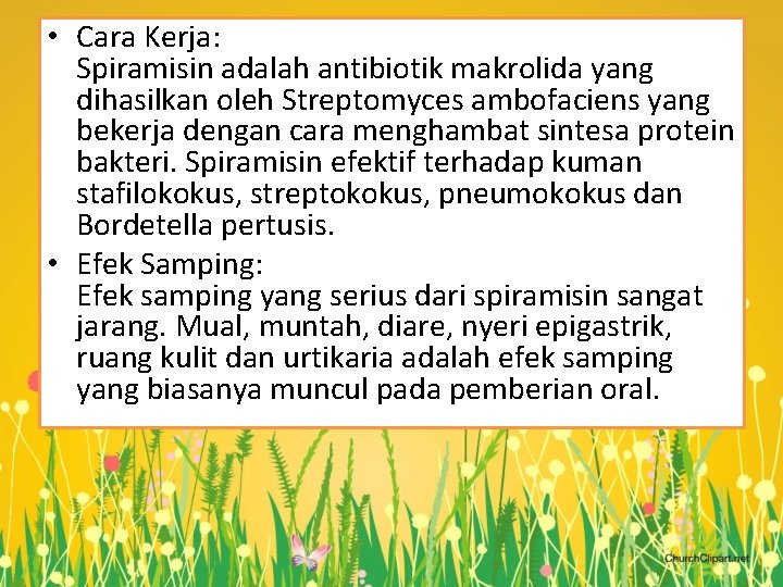 • Cara Kerja: Spiramisin adalah antibiotik makrolida yang dihasilkan oleh Streptomyces ambofaciens yang