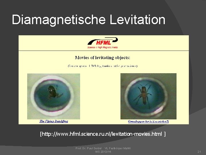 Diamagnetische Levitation [http: //www. hfml. science. ru. nl/levitation-movies. html ] Prof. Dr. Paul Seidel