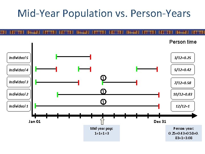 Mid-Year Population vs. Person-Years Person time Individual 5 3/12=0. 25 Individual 4 5/12=0. 42