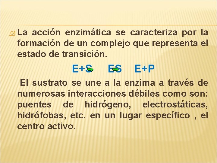  La acción enzimática se caracteriza por la formación de un complejo que representa