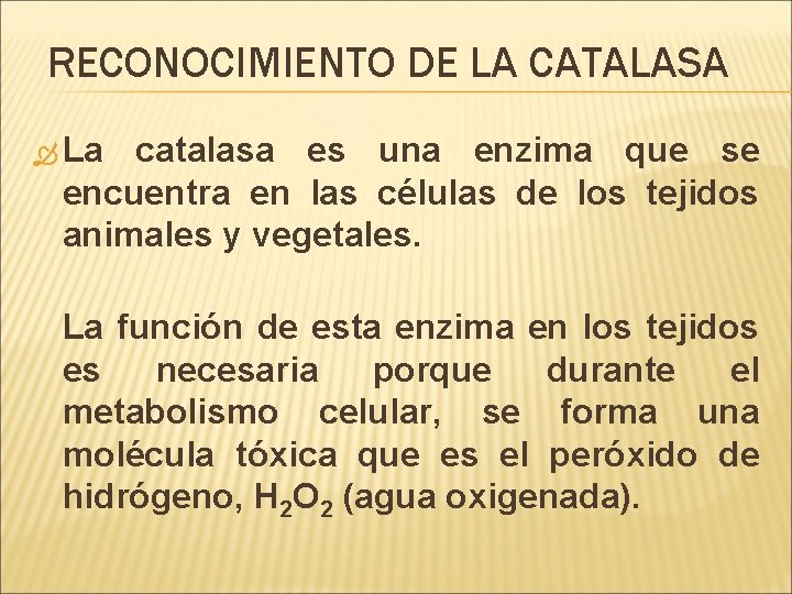RECONOCIMIENTO DE LA CATALASA La catalasa es una enzima que se encuentra en las RECONOCIMIENTO DE LA CATALASA La catalasa es una enzima que se encuentra en las
