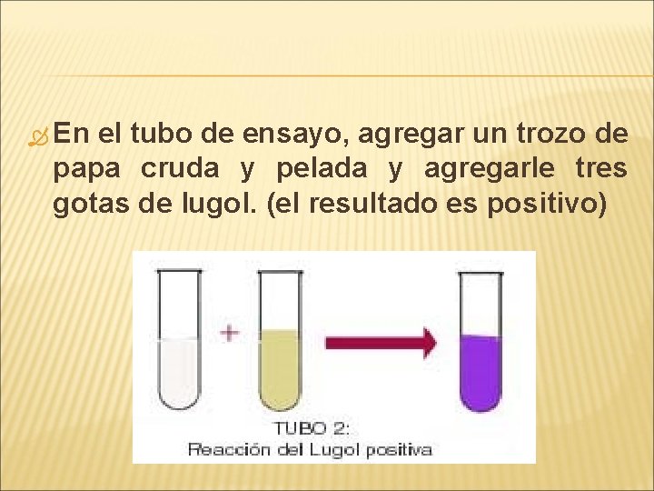 En el tubo de ensayo, agregar un trozo de papa cruda y pelada En el tubo de ensayo, agregar un trozo de papa cruda y pelada