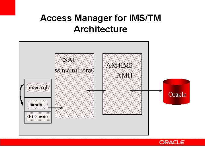 Access Manager for IMS/TM Architecture ESAF ssm ami 1, ora 0 exec sql amils