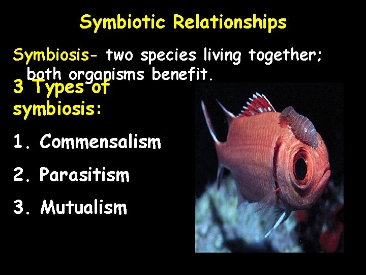 Symbiotic Relationships Symbiosis- two species living together; both organisms benefit. 3 Types of symbiosis: