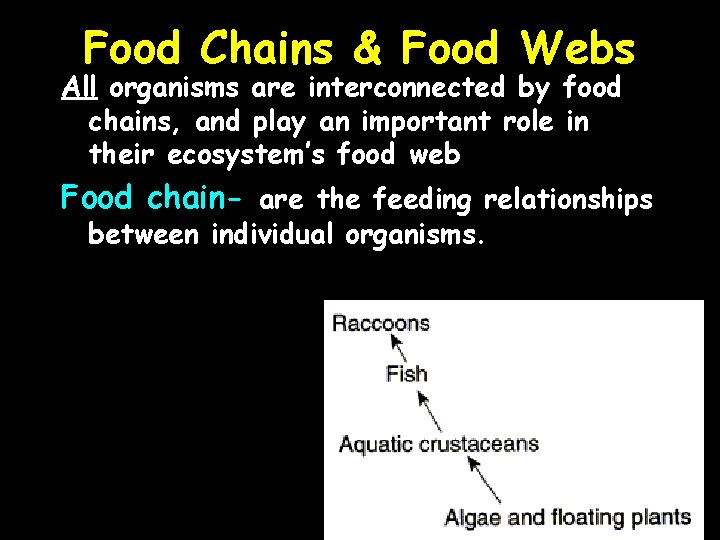 Food Chains & Food Webs All organisms are interconnected by food chains, and play