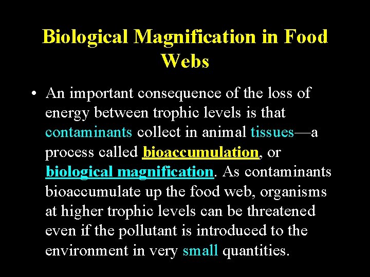 Biological Magnification in Food Webs • An important consequence of the loss of energy