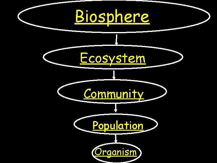 Biosphere Ecosystem Community Population Organism 