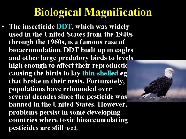 Biological Magnification • The insecticide DDT, which was widely used in the United States