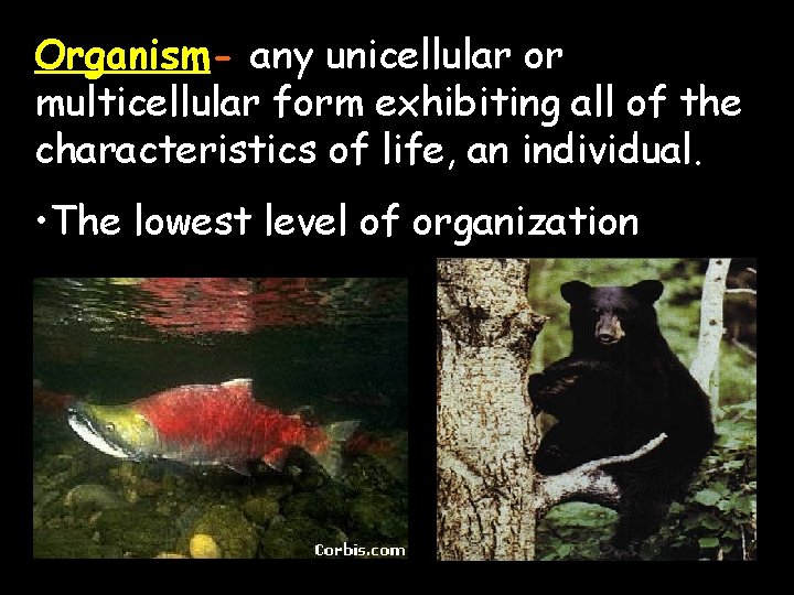 Organism- any unicellular or multicellular form exhibiting all of the characteristics of life, an