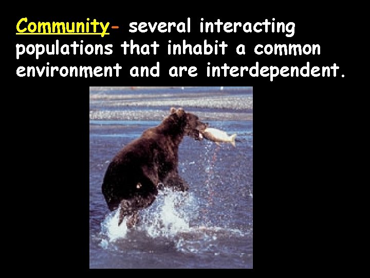 Community- several interacting populations that inhabit a common environment and are interdependent. 