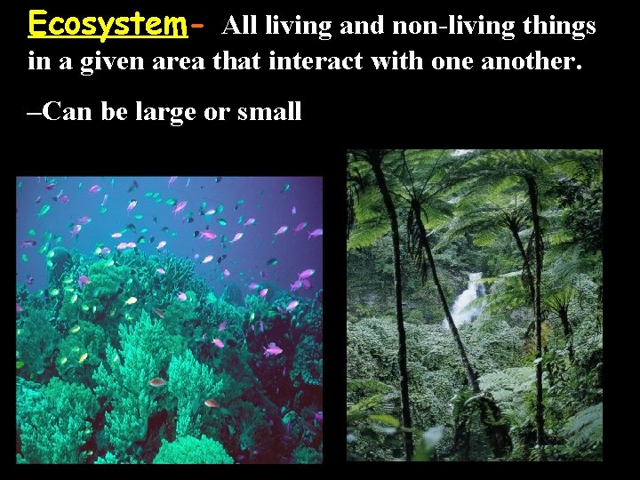 Ecosystem- All living and non-living things in a given area that interact with one