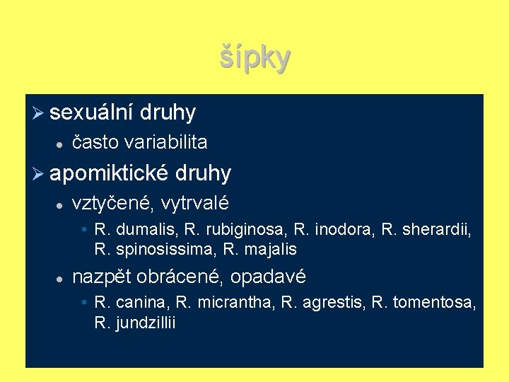 šípky Ø sexuální druhy l často variabilita Ø apomiktické druhy l vztyčené, vytrvalé •