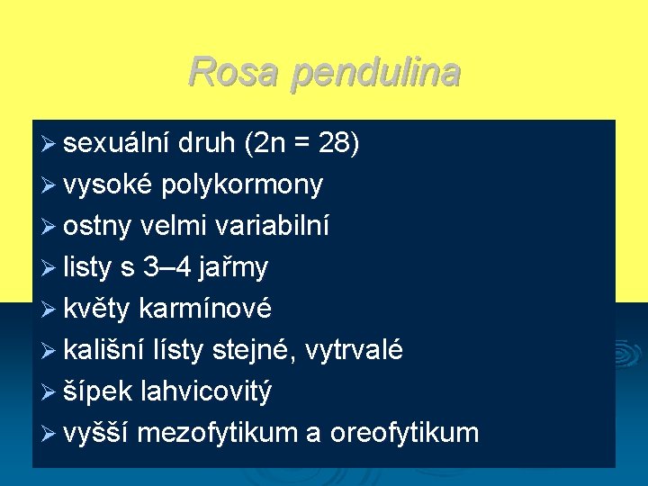 Rosa pendulina Ø sexuální druh (2 n = 28) Ø vysoké polykormony Ø ostny