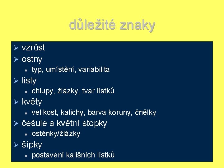 důležité znaky vzrůst Ø ostny Ø listy l Ø velikost, kalichy, barva koruny, čnělky