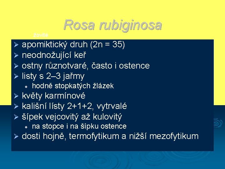 žovité Ø Ø apomiktický druh (2 n = 35) neodnožující keř ostny různotvaré, často