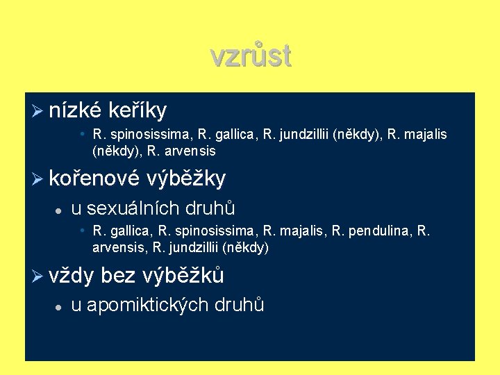 vzrůst Ø nízké keříky • R. spinosissima, R. gallica, R. jundzillii (někdy), R. majalis