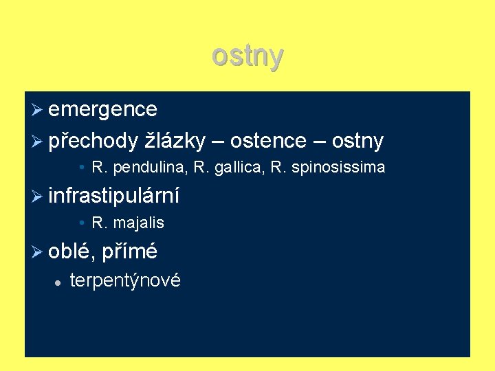 ostny Ø emergence Ø přechody žlázky – ostence – ostny • R. pendulina, R.