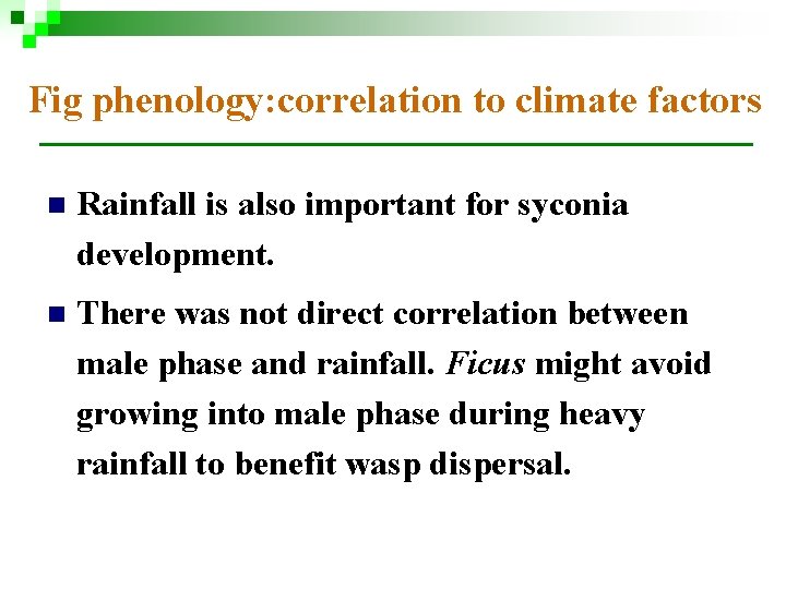 Fig phenology: correlation to climate factors n Rainfall is also important for syconia development. Fig phenology: correlation to climate factors n Rainfall is also important for syconia development.