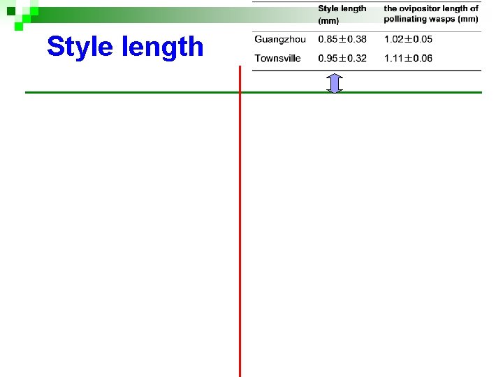 Style length Style length