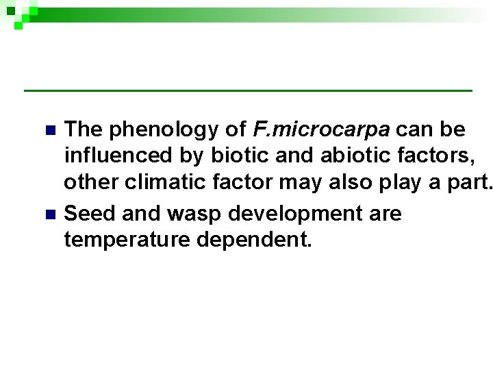 n n The phenology of F. microcarpa can be influenced by biotic and abiotic n n The phenology of F. microcarpa can be influenced by biotic and abiotic