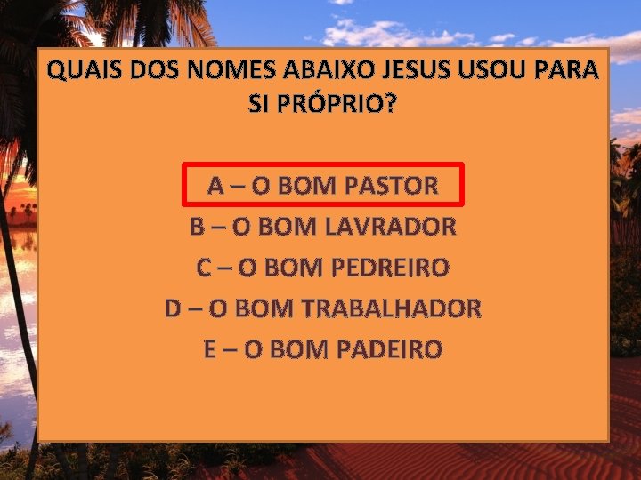 QUAIS DOS NOMES ABAIXO JESUS USOU PARA SI PRÓPRIO? A – O BOM PASTOR