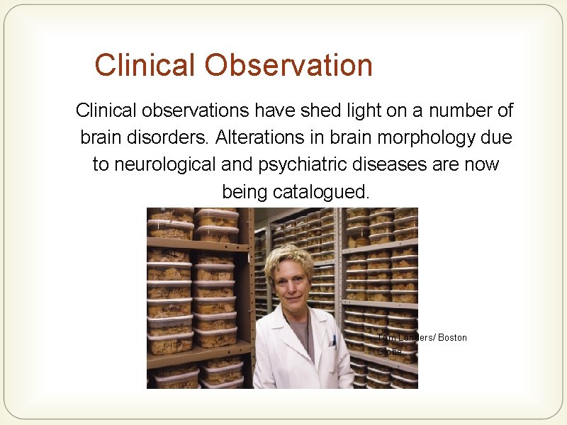 Clinical Observation Clinical observations have shed light on a number of brain disorders. Alterations