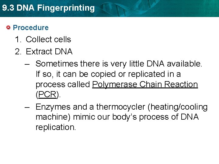9. 3 DNA Fingerprinting Procedure 1. Collect cells 2. Extract DNA – Sometimes there