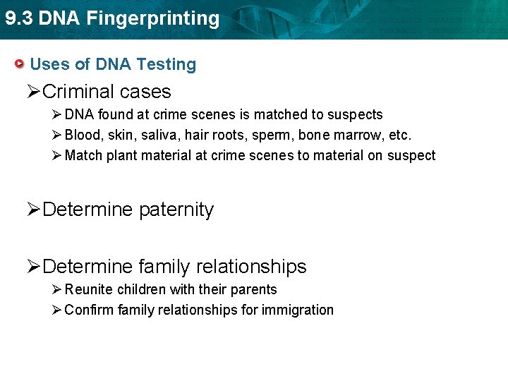 9. 3 DNA Fingerprinting Uses of DNA Testing ØCriminal cases Ø DNA found at