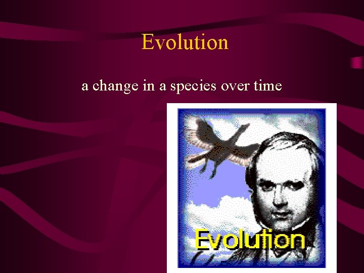 Evolution a change in a species over time 
