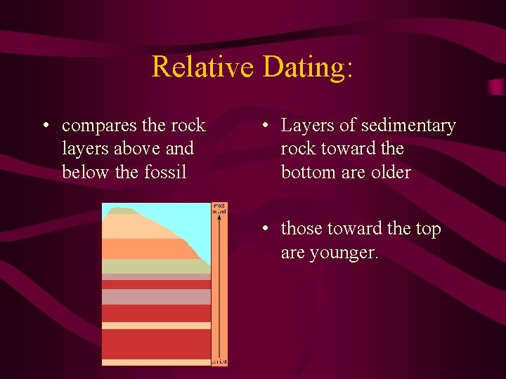 Relative Dating: • compares the rock layers above and below the fossil • Layers