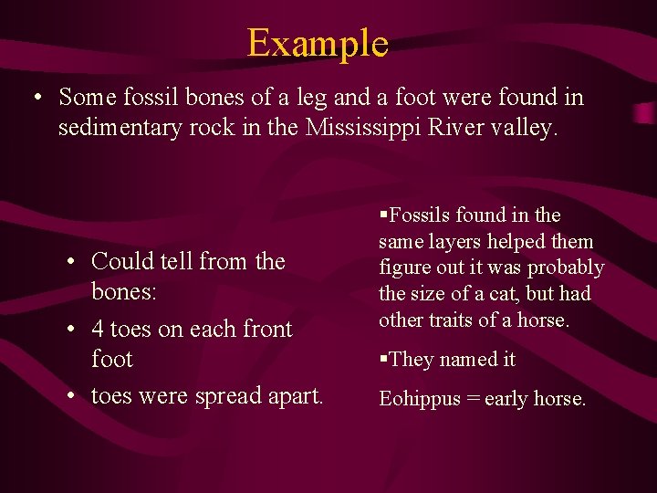 Example • Some fossil bones of a leg and a foot were found in