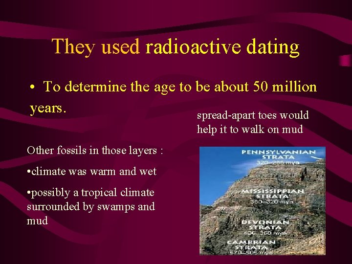 They used radioactive dating • To determine the age to be about 50 million