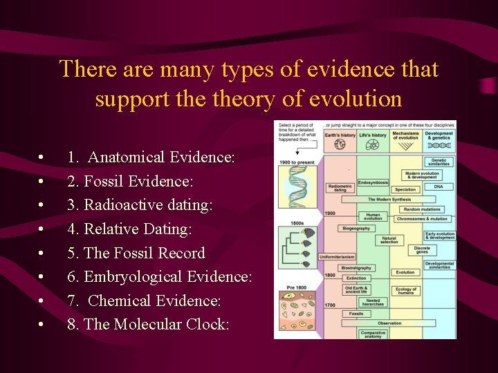 There are many types of evidence that support theory of evolution • • 1.