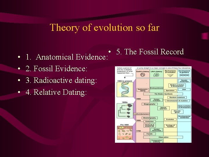 Theory of evolution so far • • 1. Anatomical Evidence: 2. Fossil Evidence: 3.